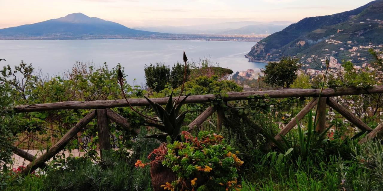 Giardino 21 Marzo Panzió Vico Equense Kültér fotó