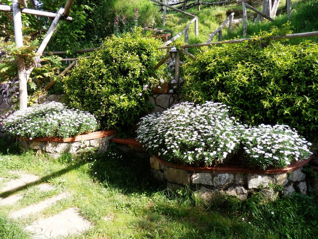 Giardino 21 Marzo Panzió Vico Equense Kültér fotó