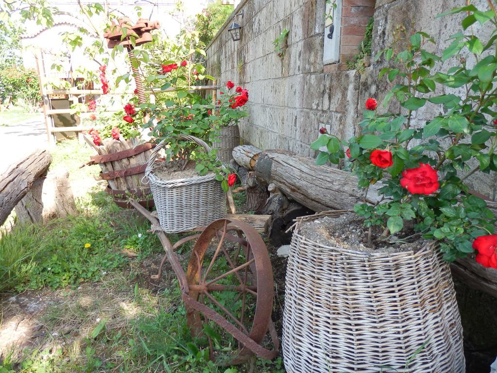 Giardino 21 Marzo Panzió Vico Equense Kültér fotó