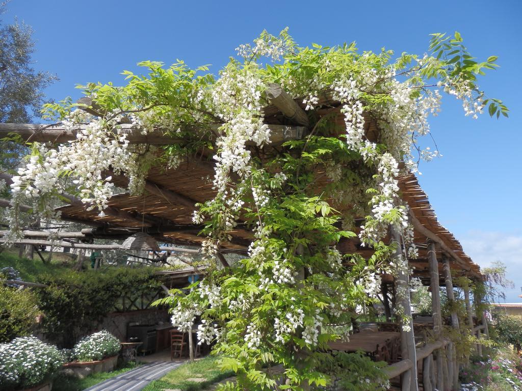Giardino 21 Marzo Panzió Vico Equense Kültér fotó